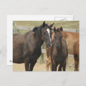 母さん ポストカード (正面/裏面)