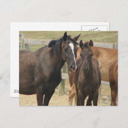 母さん ポストカード (正面/裏面)