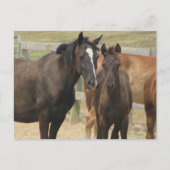 母さん ポストカード (正面)