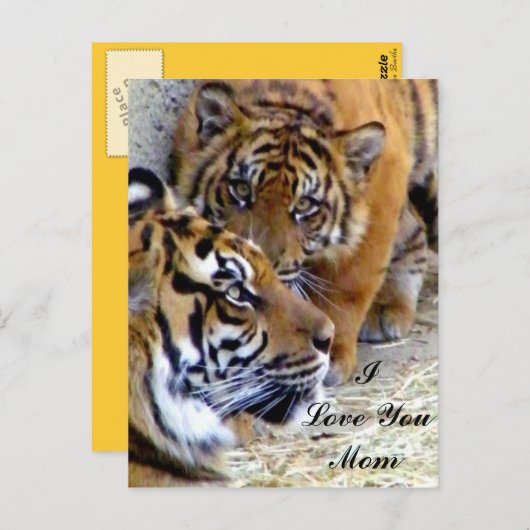 母さん、私は母さんを愛している_ ポストカード (正面/裏面)