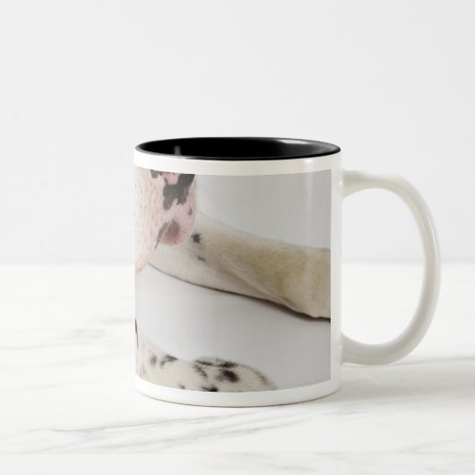 母で眠っている道化師のグレートデーンの子犬 ツートーンマグカップ (右)