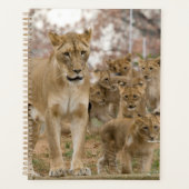母とのアフリカのライオンの子 プランナー手帳 (正面)