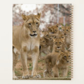 母とのアフリカのライオンの子 プランナー手帳 (裏面)