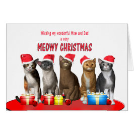 母とパパ、クリスマス帽子の猫