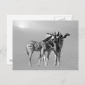 母とベビーの間の優しい瞬間 ポストカード (正面/裏面)