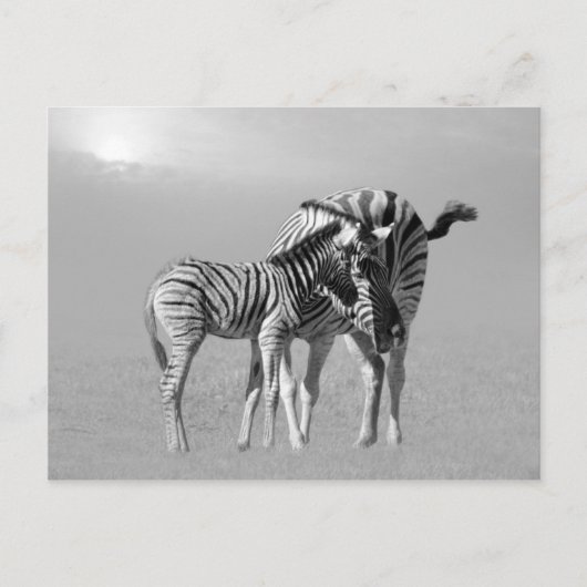 母とベビーの間の優しい瞬間 ポストカード (正面)