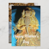 母とベビーひげ竜 シーズンカード (正面/裏面)