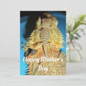 母とベビーひげ竜 シーズンカード (スタンド正面)