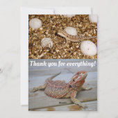 母とベビーひげ竜 シーズンカード (裏面)