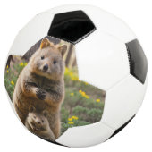 母とベビークッカサッカーボール サッカーボール (3/4)
