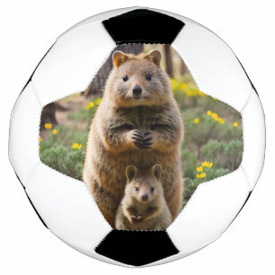 母とベビークッカサッカーボール サッカーボール