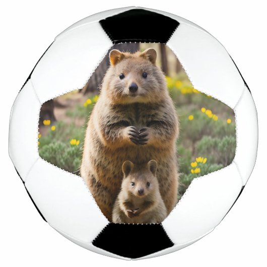 母とベビークッカサッカーボール サッカーボール (正面)