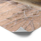 母とベビーバブーン ポスター (角)