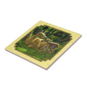 母とベビーホワイトテールディアイエロー タイル (側面)