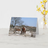 母とベビー馬アットアサーテアグ カード (黄色い花)