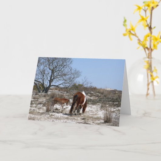 母とベビー馬アットアサーテアグ カード (黄色い花)