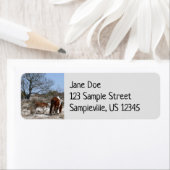 母とベビー馬アットアサーテアグ ラベル (インサイチュ)