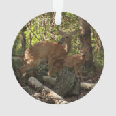 母とベビー鹿アットシェナンドア国立公園 オーナメント (裏面)