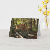 母とベビー鹿アットシェナンドア国立公園 カード (黄色い花)