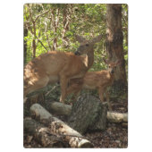 母とベビー鹿アットシェナンドア国立公園 クリップボード (裏面)