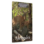 母とベビー鹿アットシェナンドア国立公園 クリップボード (右)