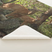 母とベビー鹿アットシェナンドア国立公園 シェルパブランケット (3/4)