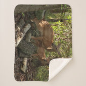 母とベビー鹿アットシェナンドア国立公園 シェルパブランケット (正面)