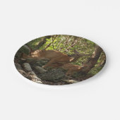 母とベビー鹿アットシェナンドア国立公園 ペーパープレート (アングル)