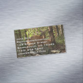 母とベビー鹿アットシェナンドア国立公園 マグネット名刺 (インサイチュ)