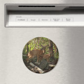 母とベビー鹿アットシェナンドア国立公園 マグネット (インサイチュ (食洗機))