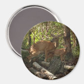 母とベビー鹿アットシェナンドア国立公園 マグネット (正面/裏面)