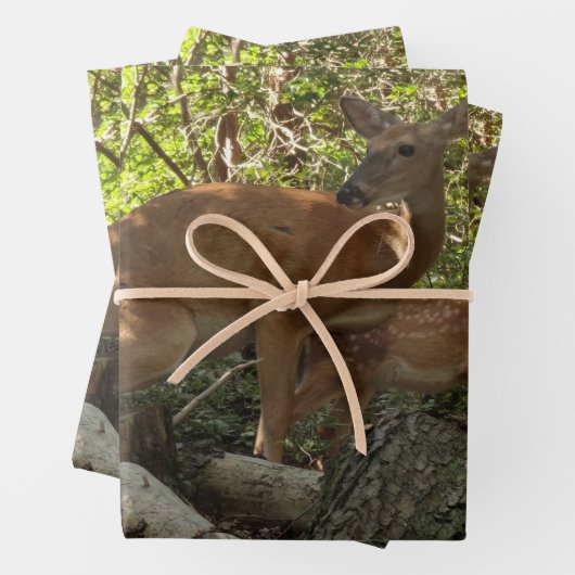 母とベビー鹿アットシェナンドア国立公園 ラッピングペーパーシート (インサイチュ)