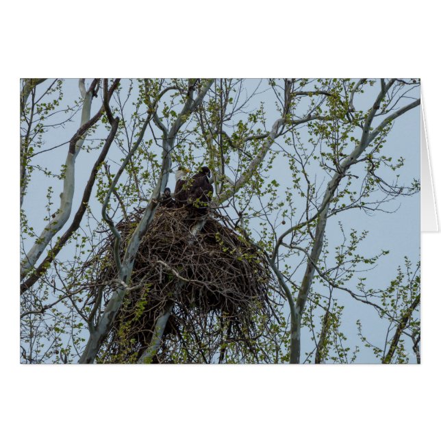 母と冷たい (正面横)
