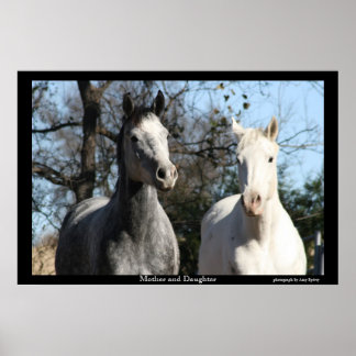 母と娘 ポスター