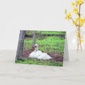 母と子の愛 カード (黄色い花)