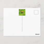 母と子供 – 若い鹿を休む ポストカード (裏面)