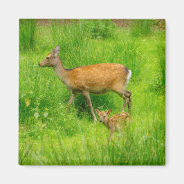 母と子供 – 若い鹿を休む マグネット
