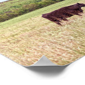 母と子牛はフリント・ヒルズ ポスター (角)