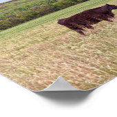 母と子牛はフリント・ヒルズ ポスター (角)