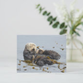 母と子犬の眠る海 ポストカード (スタンド正面)