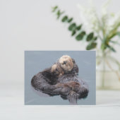 母と子犬の眠る海 ポストカード (スタンド正面)