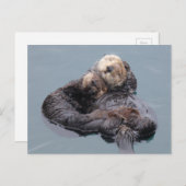 母と子犬の眠る海 ポストカード (正面/裏面)