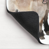 母と子馬の笑顔,ベルギーの馬,ベルギー マウスパッド (コーナー)