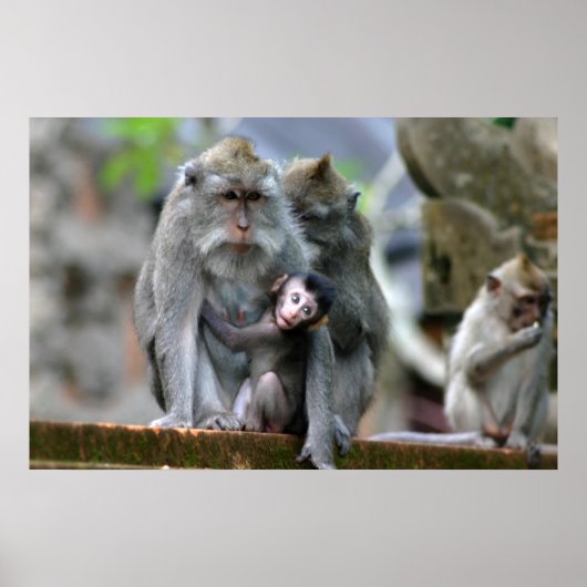 母と子 ポスター (正面)