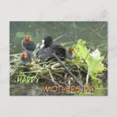 母と母の日はがき ポストカード (正面)