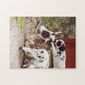 母と赤ちゃんの動物写真 ジグソーパズル (横)