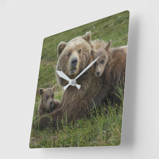 母と赤らむヒグマ スクエア壁時計 (傾斜)