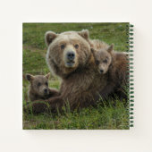 母と赤らむヒグマ ノートブック (裏面)