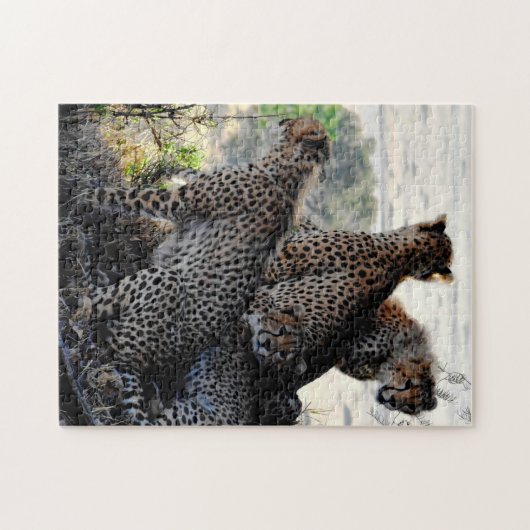 母と赤ん坊の動物のチーター写真動物 ジグソーパズル (横)