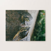 母と赤ん坊の動物の亀の写真動物 ジグソーパズル (横)